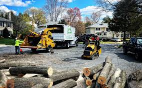How Our Tree Care Process Works  in  Winnie, TX